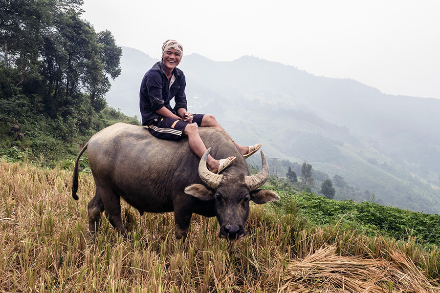 explore Sapa