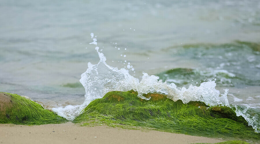 Nam O Reef