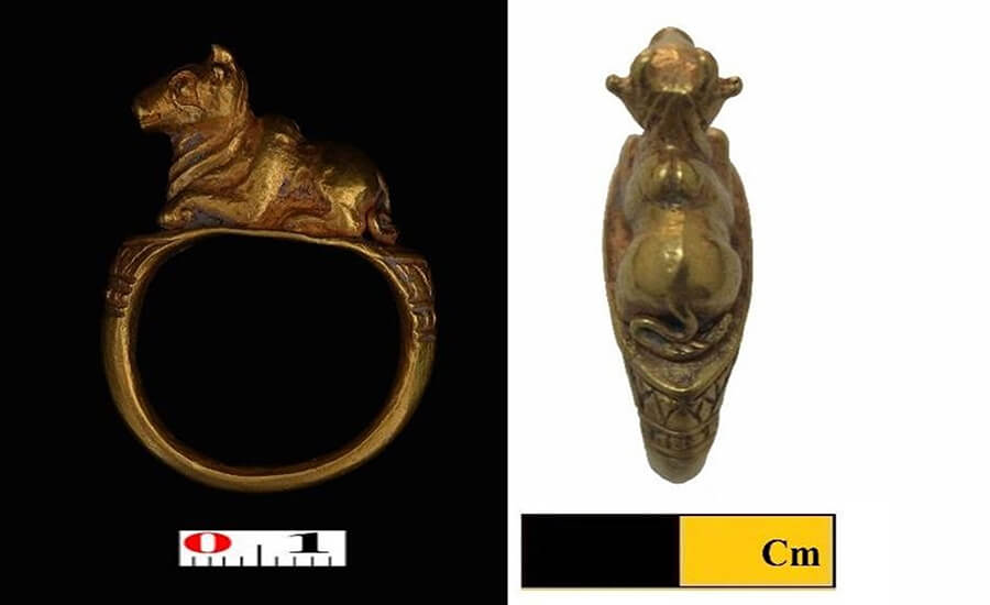 Nandin Giong Cat golden ring