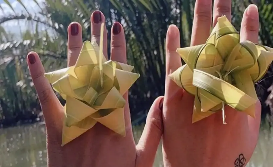 Bay Mau Nipa Palm Forest