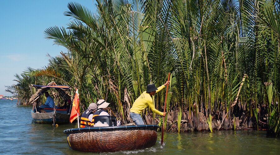 Bay Mau Nipa Palm Forest