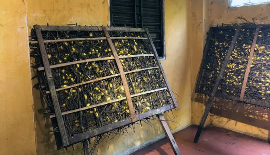 Hoi An Silk Village