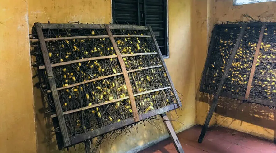 Hoi An Silk Village