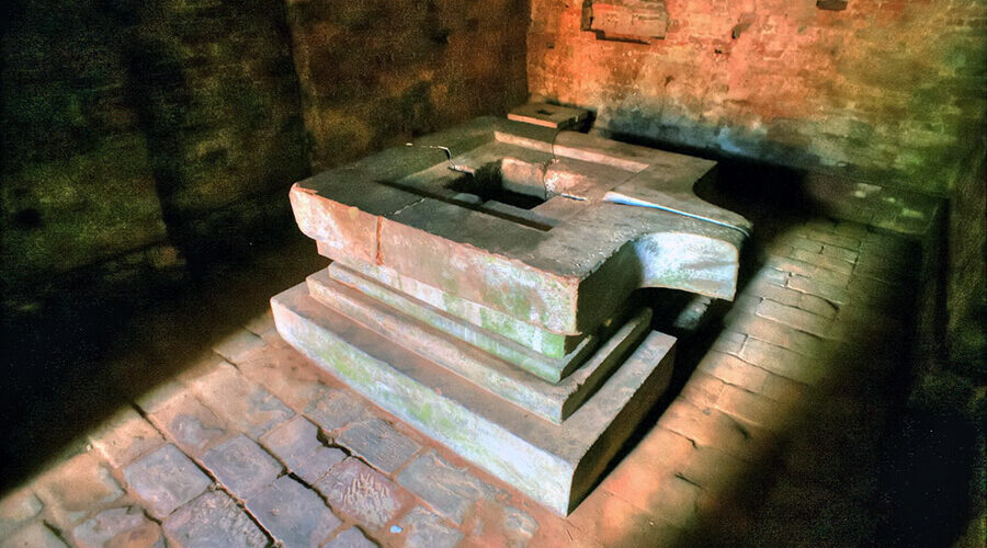 Yoni in My Son Holy Land