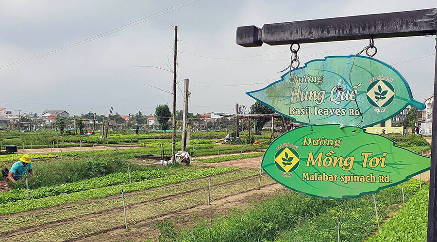 Tra Que Vegetable Village