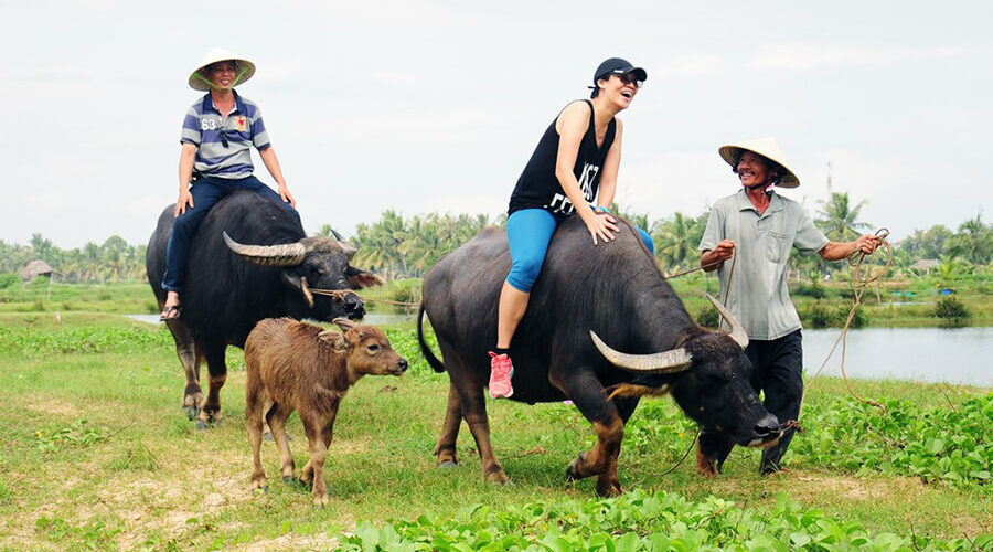 Tra Que Vegetable Village