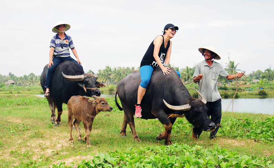 Tra Que Vegetable Village