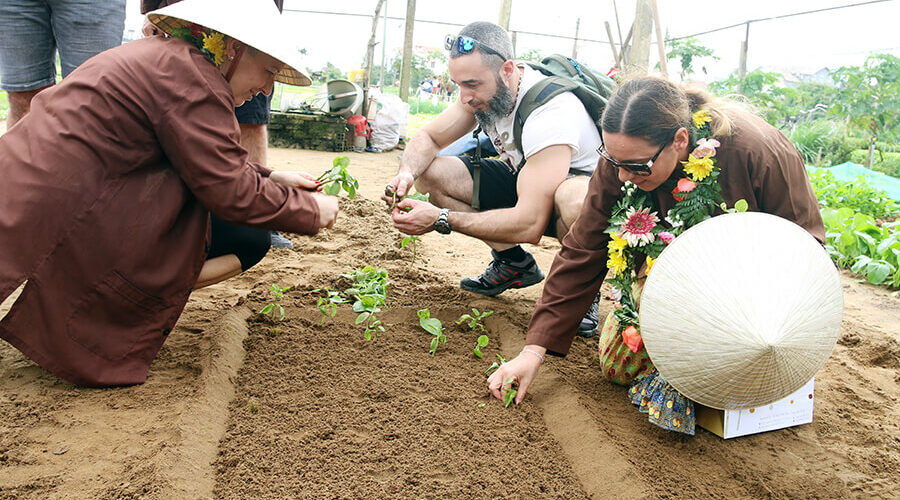 Tra Que Vegetable Village