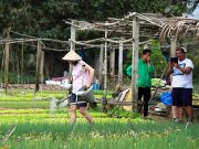Tra Que Vegetable Village