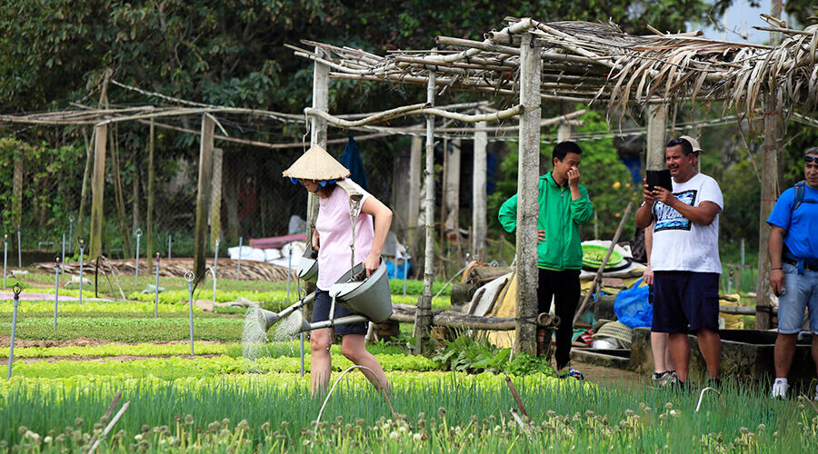 Tra Que Vegetable Village