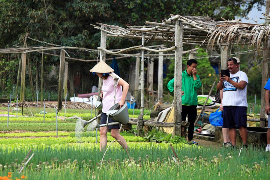 Tra Que Vegetable Village