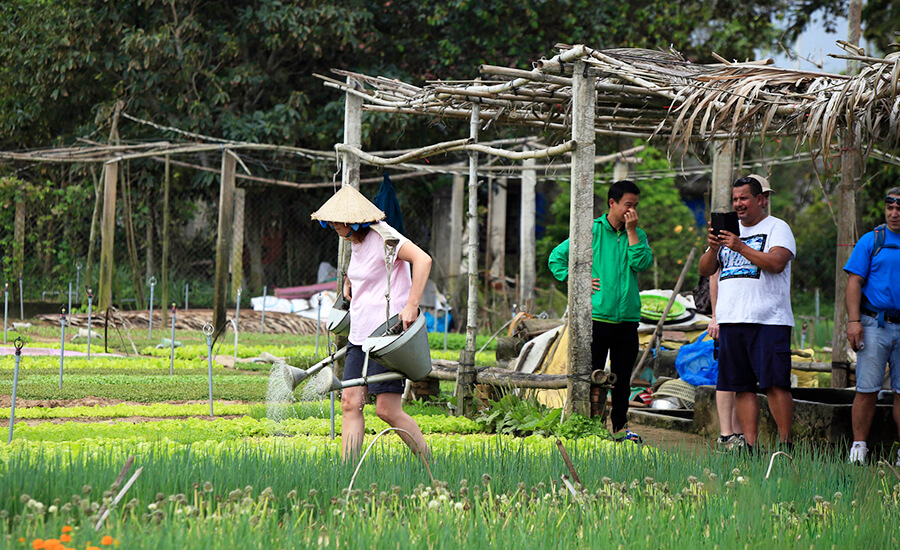 Tra Que Vegetable Village
