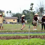 Tra Que Vegetable Village