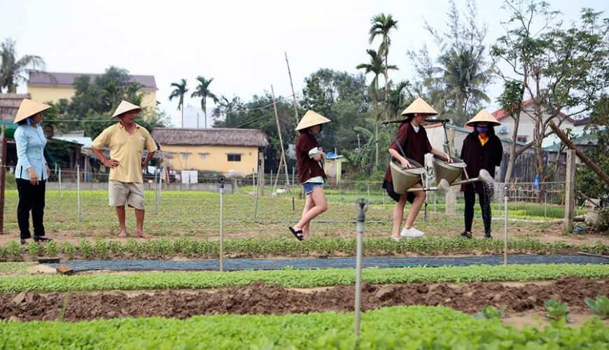 Tra Que Vegetable Village