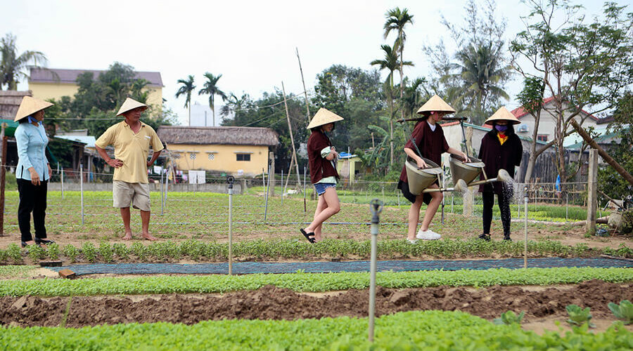 Tra Que Vegetable Village