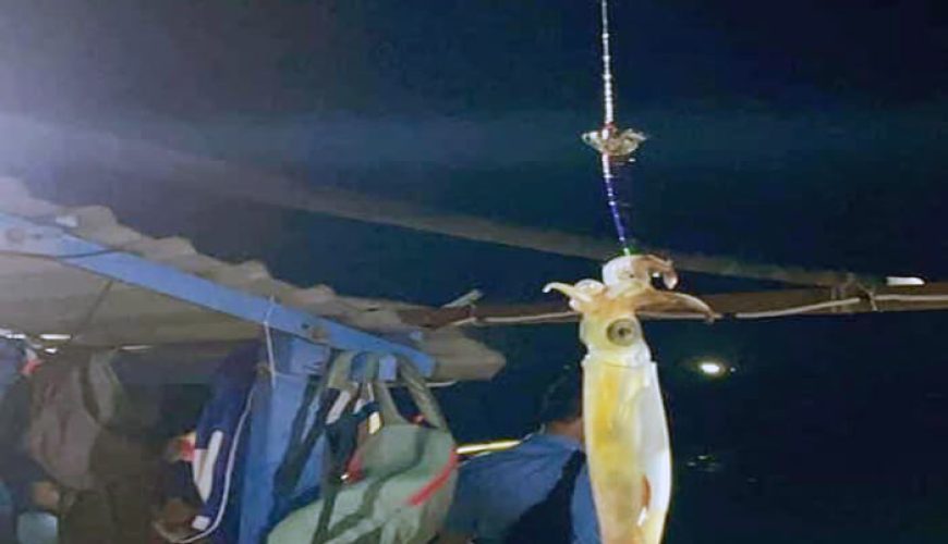 squid fishing in Cham islet