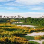 Long Bien Bridge