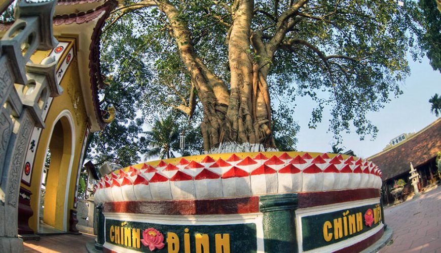 Tran Quoc Pagoda