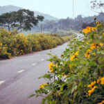 Ba Vi National Park