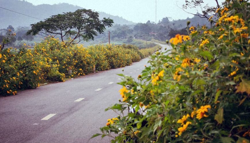 Ba Vi National Park