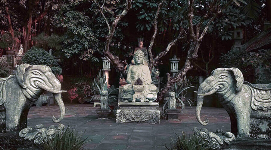 Thanh Chuong Viet's Palace