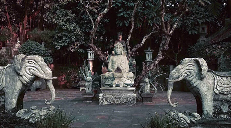 Thanh Chuong Viet's Palace