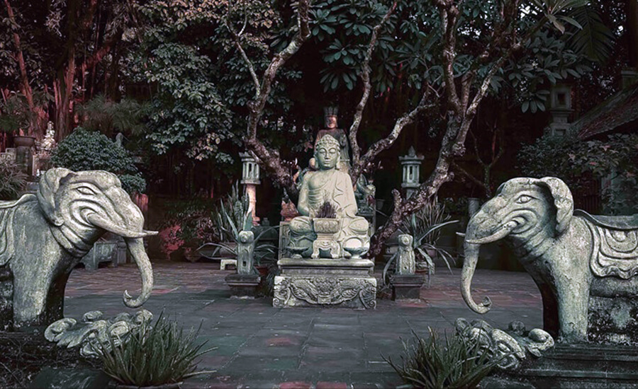 Thanh Chuong Viet's Palace