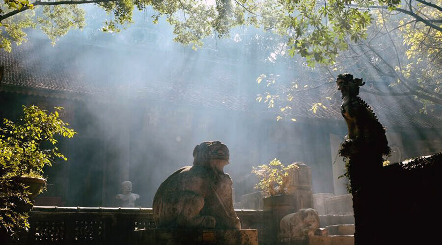 Thanh Chuong Viet's Palace