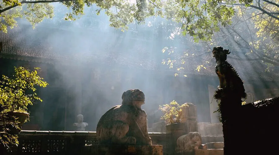 Thanh Chuong Viet's Palace