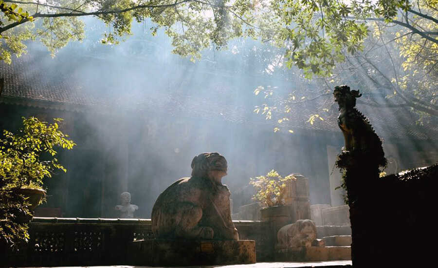 Thanh Chuong Viet's Palace