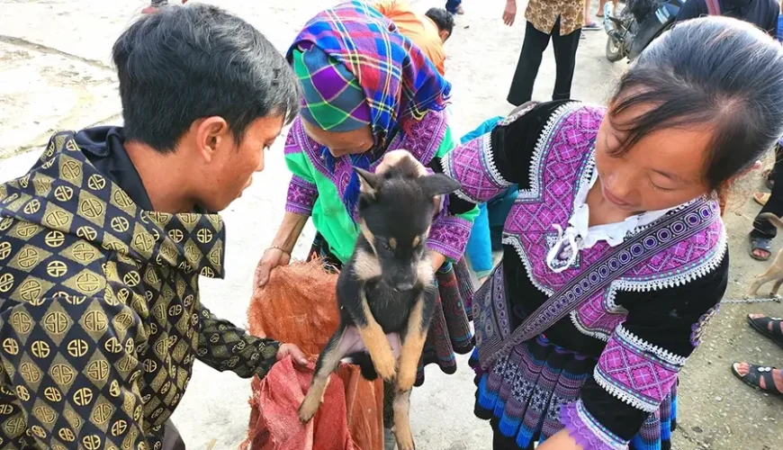 Bac Ha Market