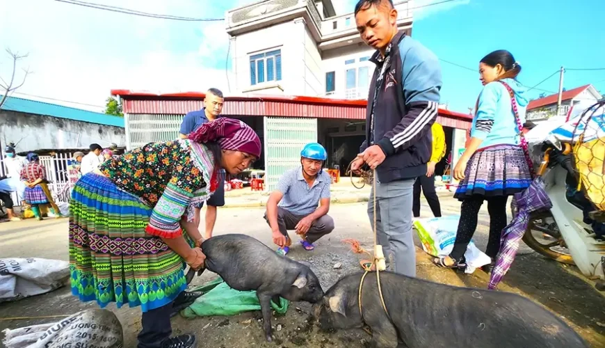Bac Ha Market