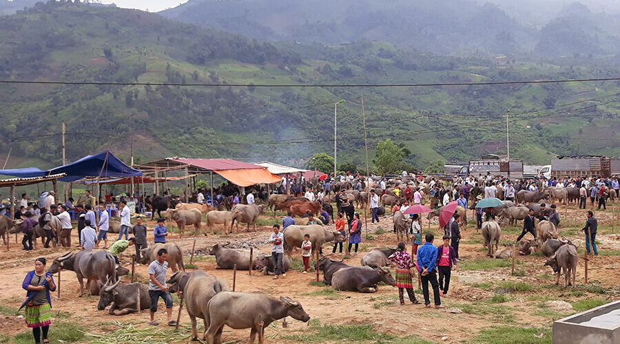 Bac Ha Market
