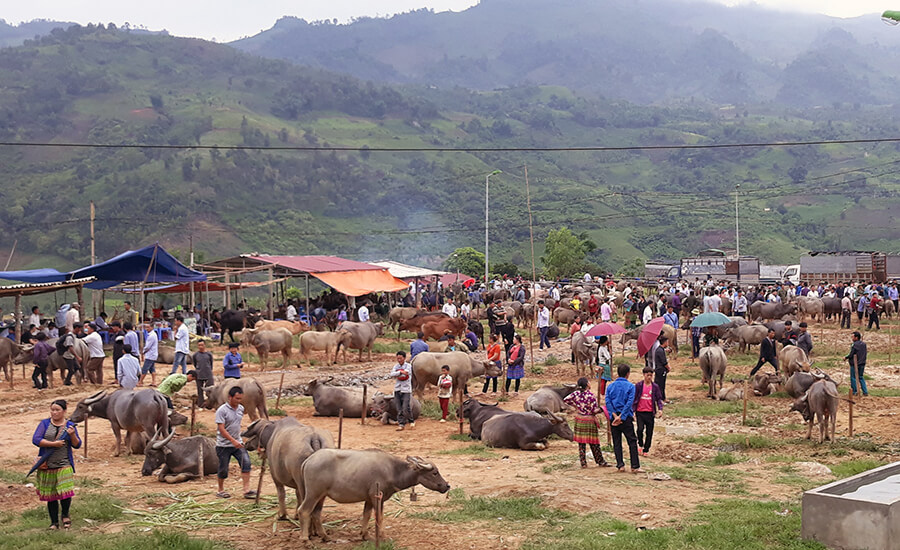 Bac Ha Market
