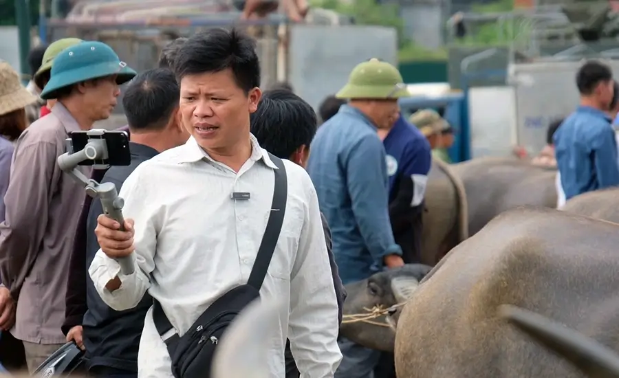 Bac Ha buffalo market