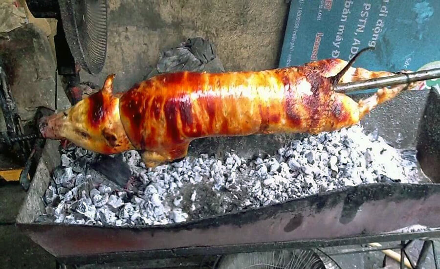 Carried-under-arm pig