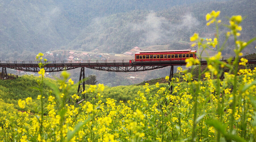 a view from the train