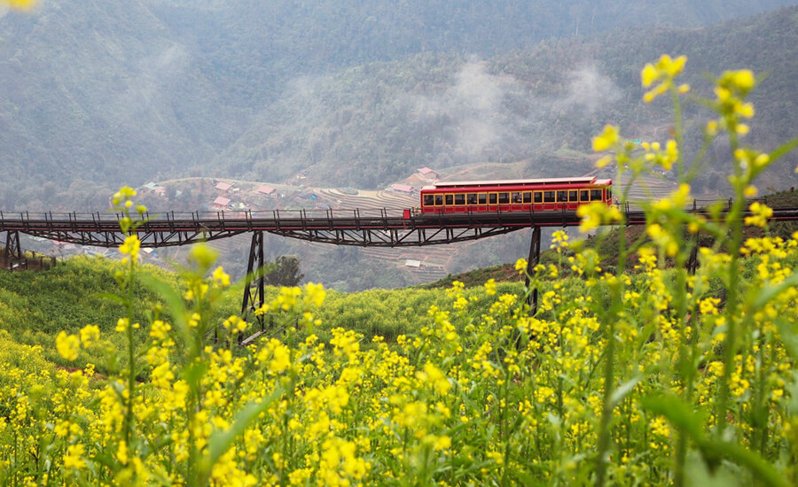 a view from the train