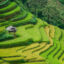 explore Sapa
