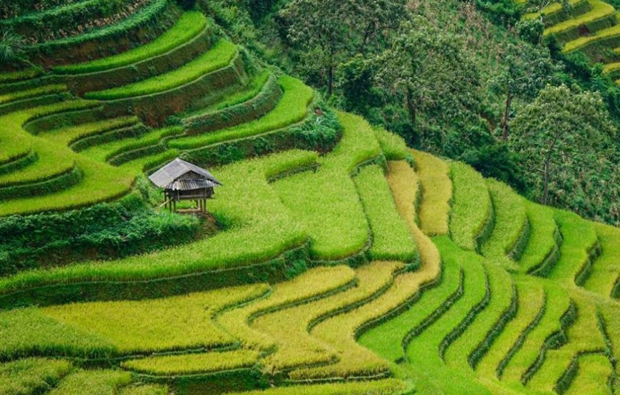 15 Days Countryside Trip Throughout Vietnam