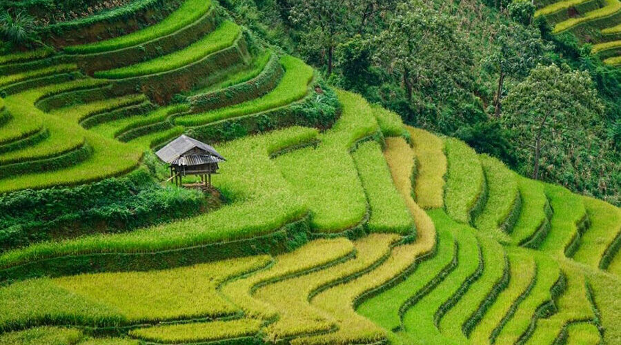 explore Sapa
