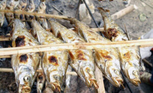 Grilled stream fish