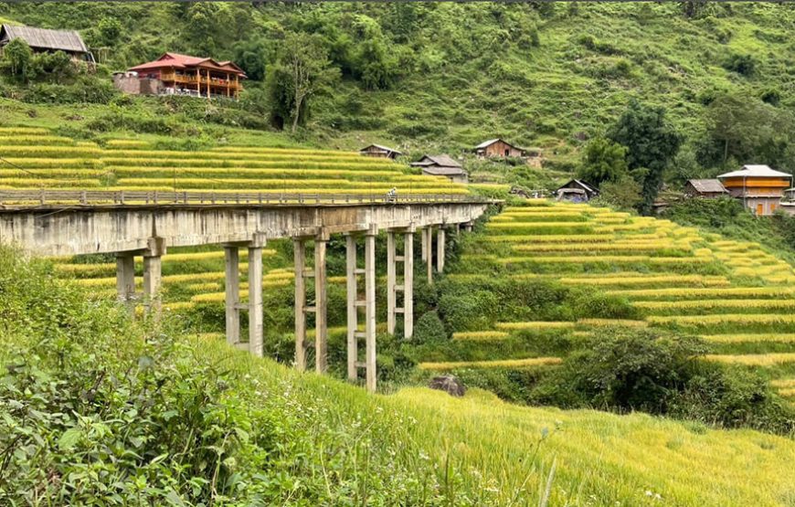 Vietnam Historic & Natural Discovery – 18 Days