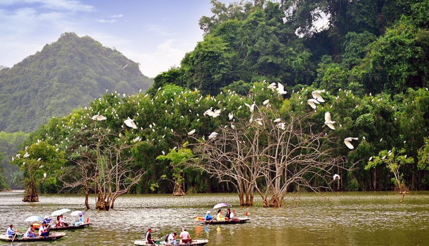 Thung Nham Bird Garden