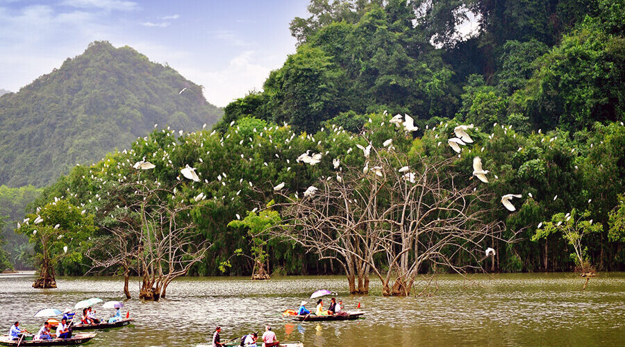 Thung Nham Bird Garden