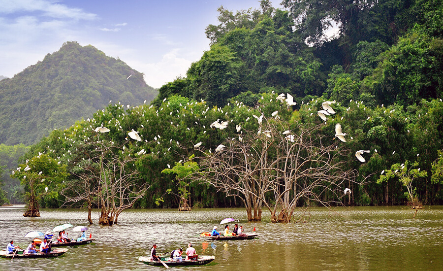Thung Nham Bird Garden