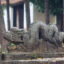 dragon stone in Tram Gian Pagoda