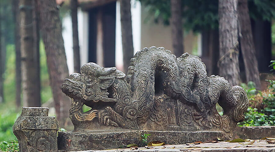 dragon stone in Tram Gian Pagoda