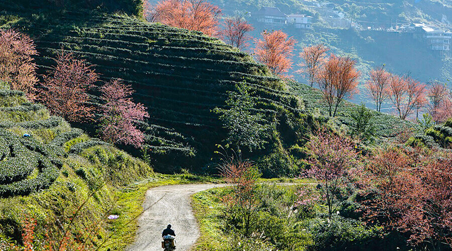 best time to visit Sapa