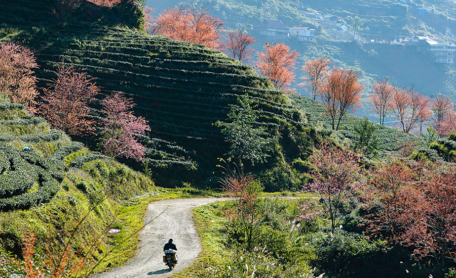 best time to visit Sapa